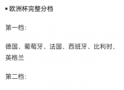爱游戏体育入口-克罗地亚胜保加利亚，获得欧洲杯正赛名额