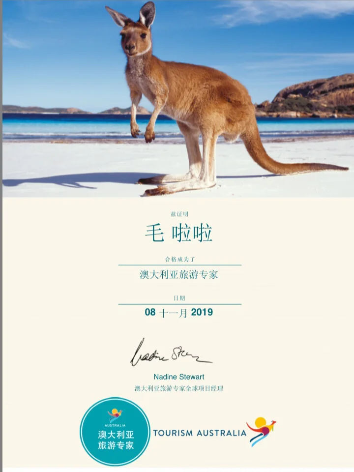 塔斯马尼亚联战术调整，关键球员或将首发出战(塔斯马尼亚论坛)