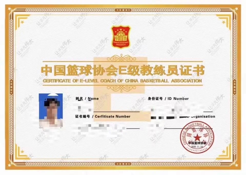 法国篮协与青年训练中心合作推出新项目的简单介绍